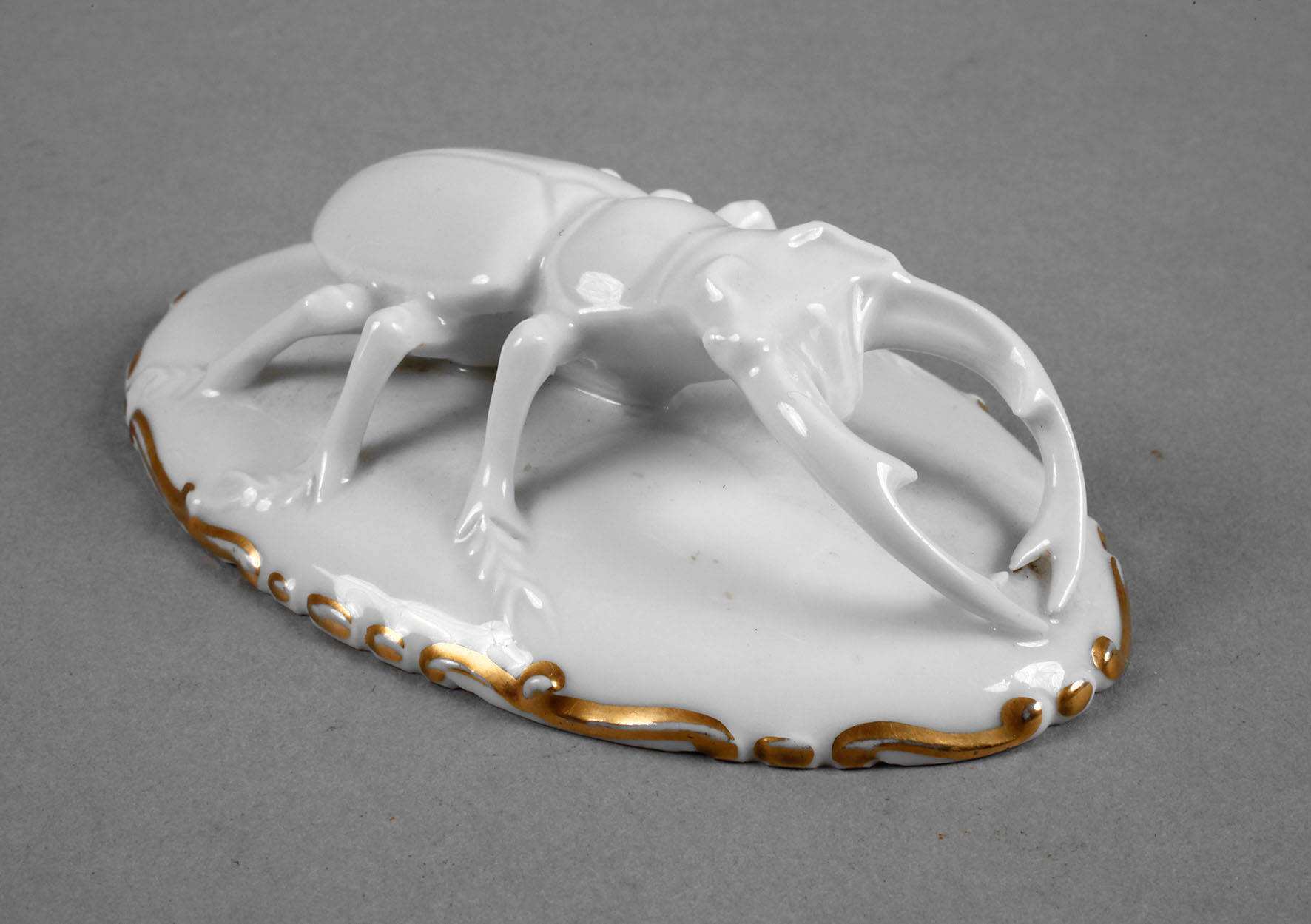 Rosenthal Hirschkäfer