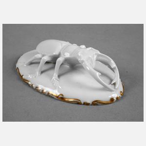 Rosenthal Hirschkäfer