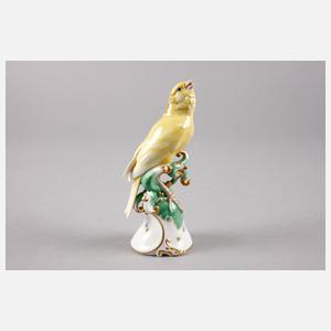 Rosenthal Kanarienvogel