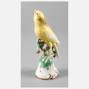 Rosenthal Kanarienvogel