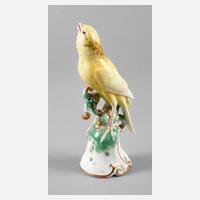 Rosenthal Kanarienvogel111