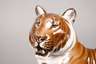 Rosenthal großer Tiger