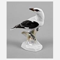 Rosenthal Vogelplastik Pirol111