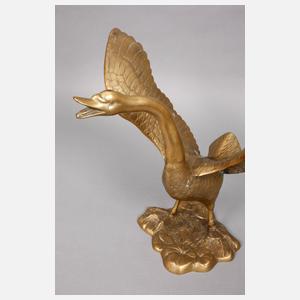 Zwei große Höckerschwäne