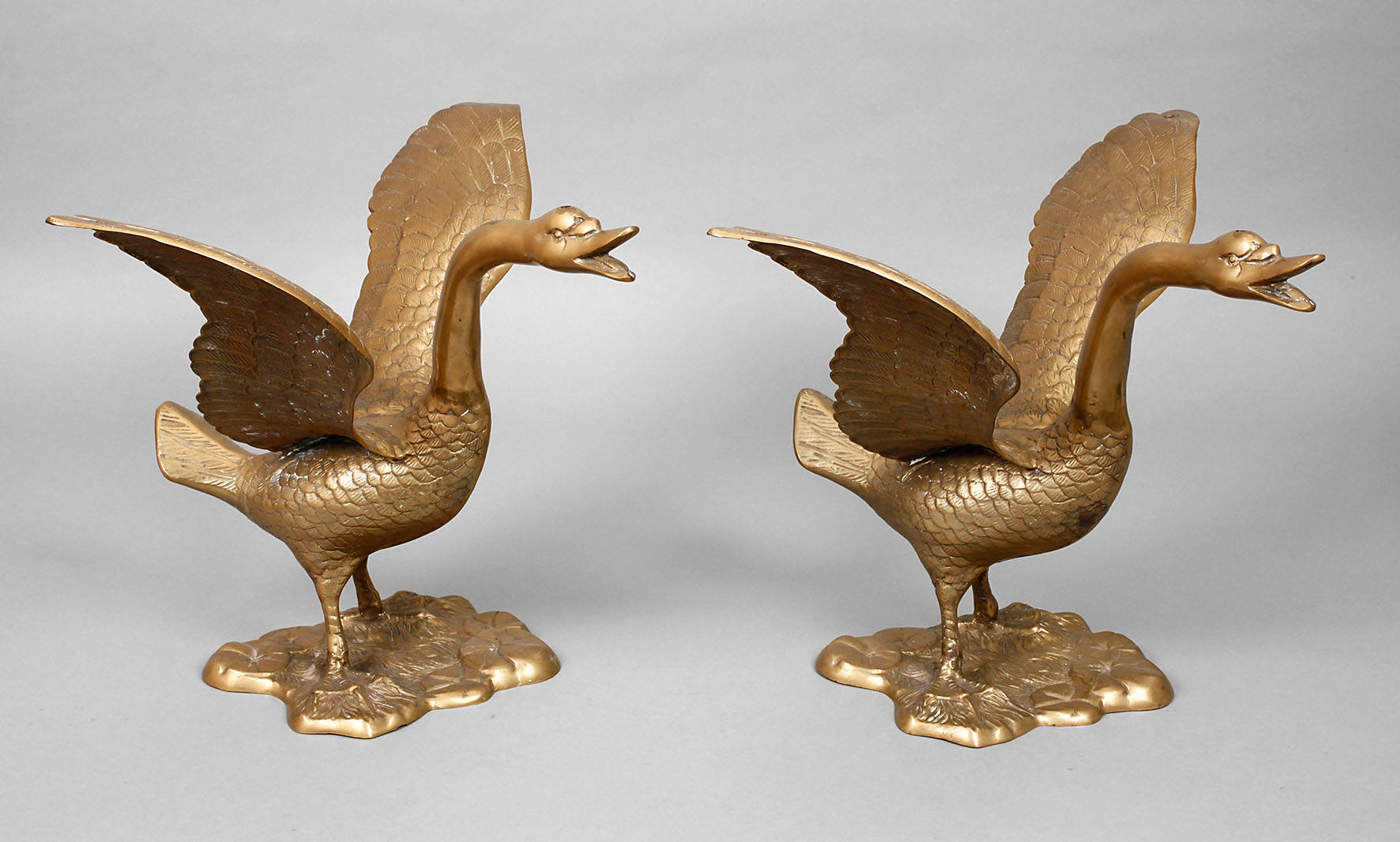 Zwei große Höckerschwäne