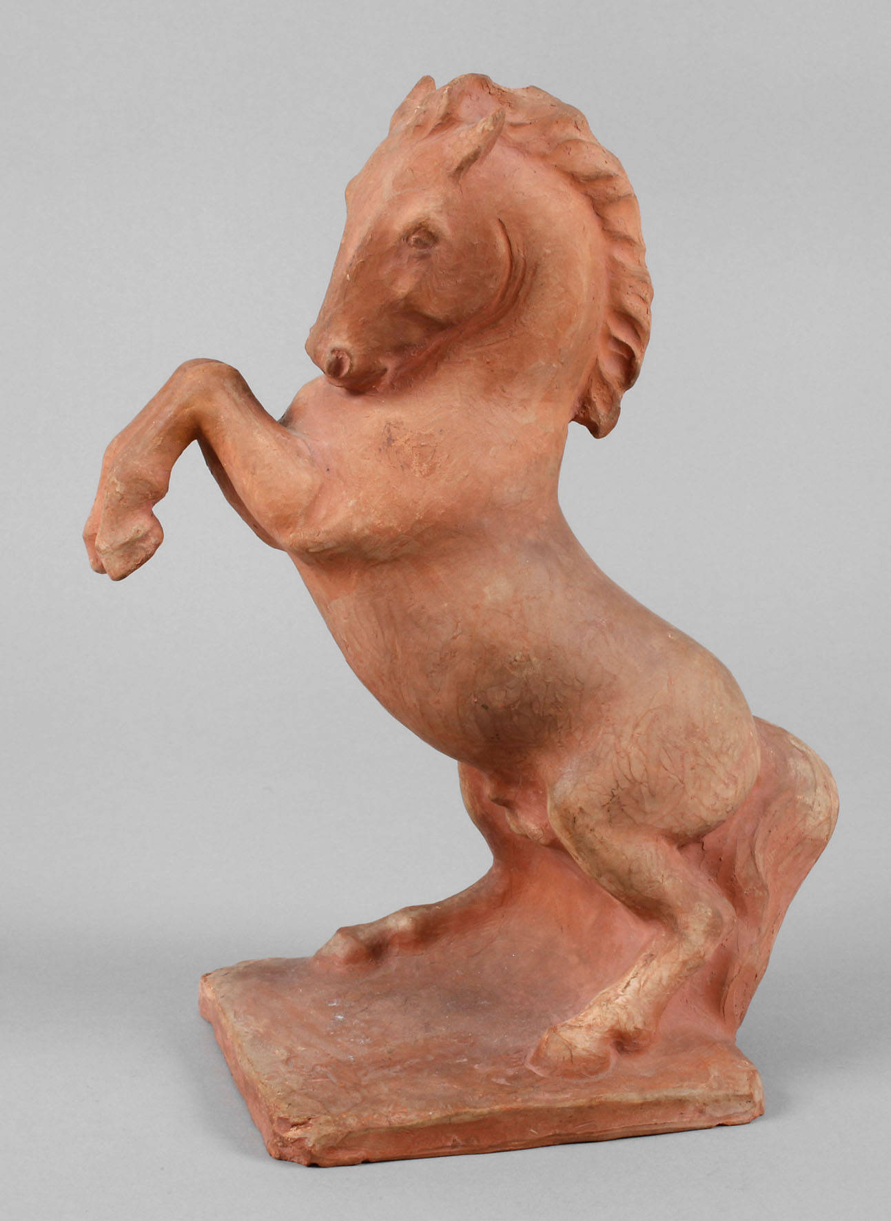 Steigendes Pferd Terrakotta