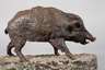 Pierre-Jules Mène attr., Wildschwein