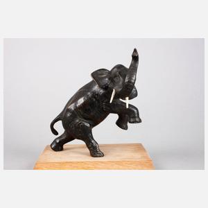 Steigender indischer Elefant