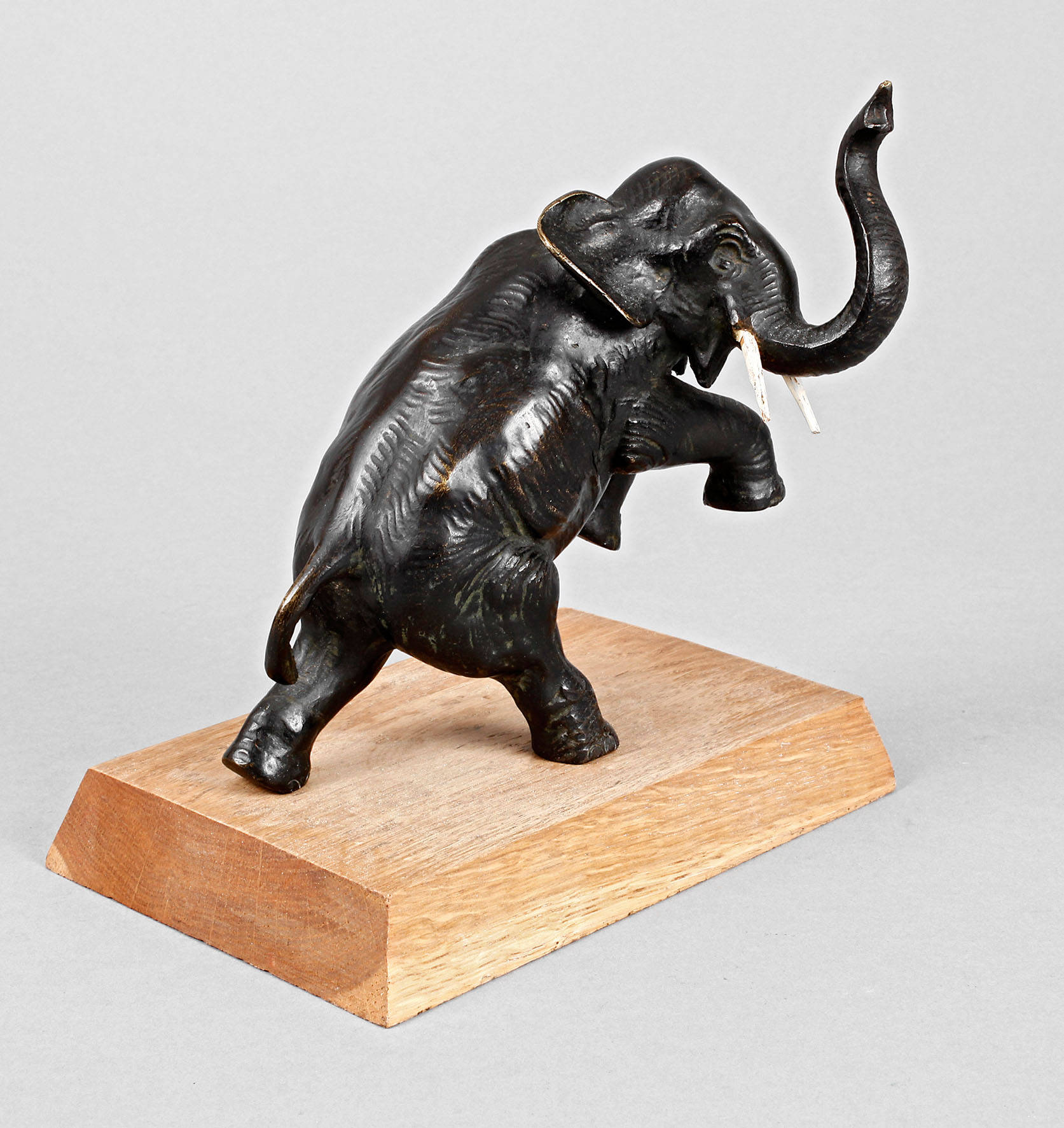 Steigender indischer Elefant