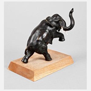 Steigender indischer Elefant