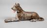 Wiener Bronze Deutsche Dogge