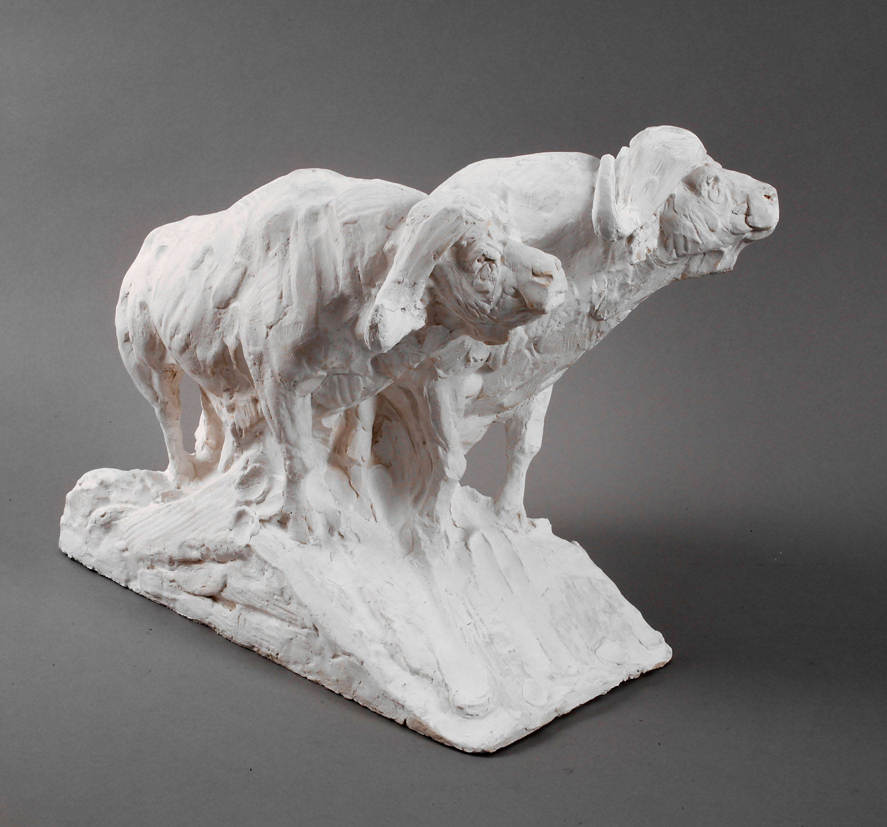 Dylan Lewis Paar Wasserbüffel