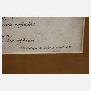 Johann Elias Ridinger, ”Das Pferd und der Löwe”