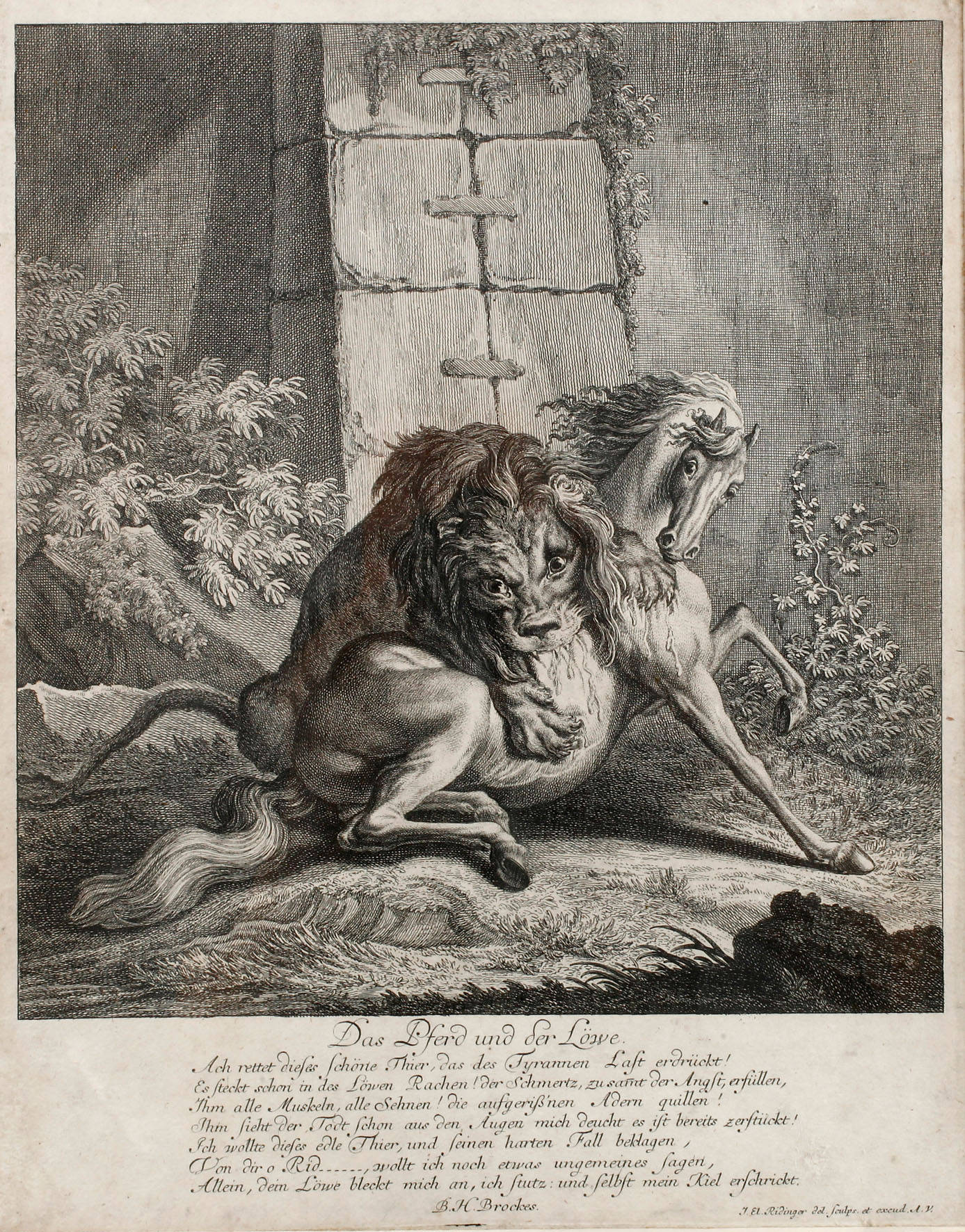 Johann Elias Ridinger, ”Das Pferd und der Löwe”