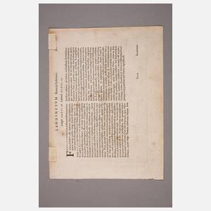 Prof. Petrus Bertius, Lauingen an der Donau