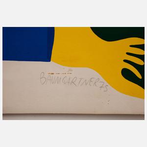 Fritz Baumgartner, ”Interface”