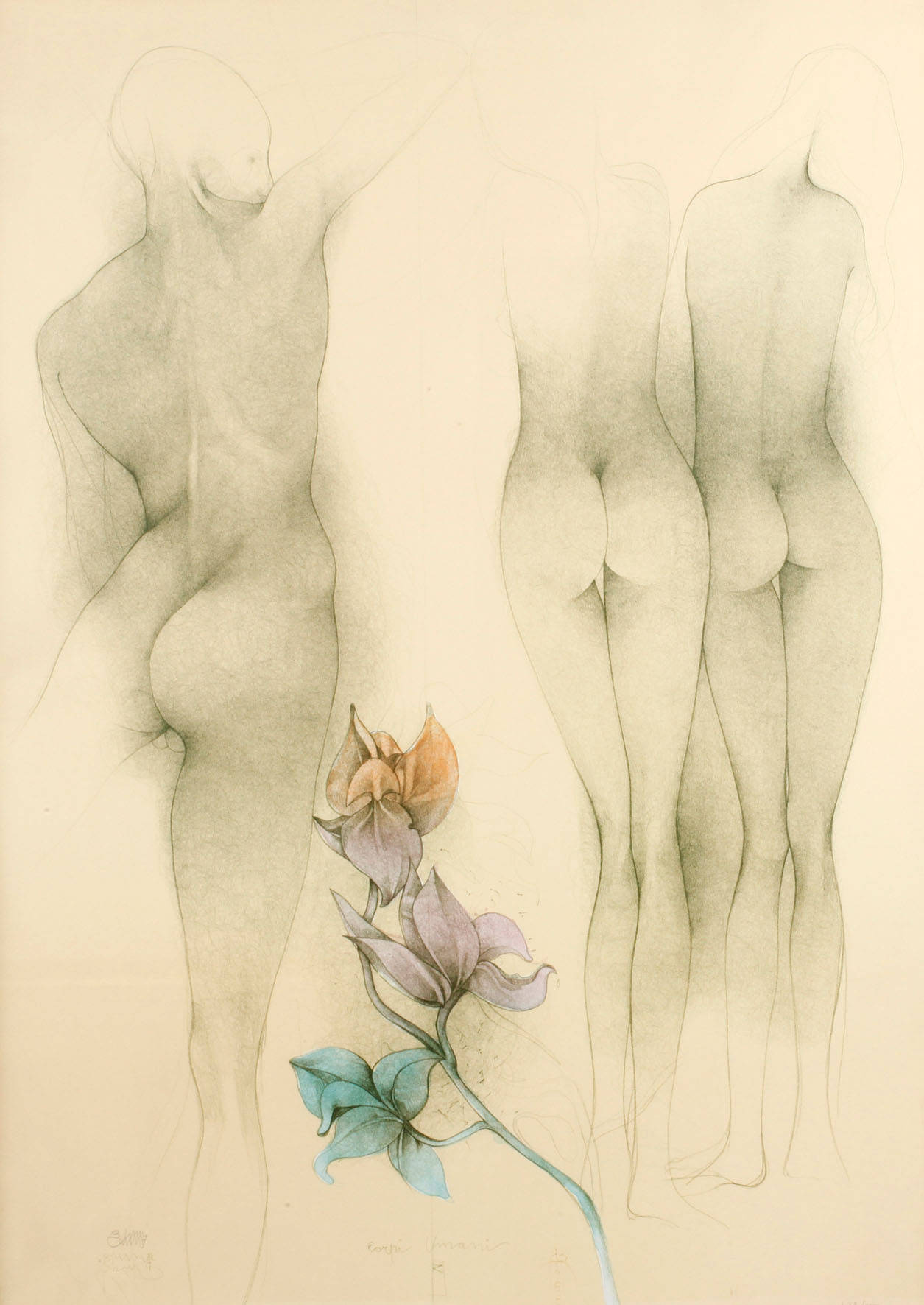 Bruno Bruni, Corpi Umani