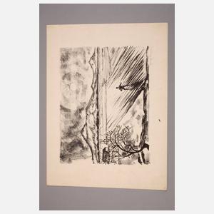 Heinrich Linzen, Säender Bauer