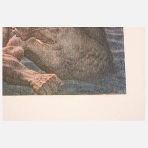 Amos Nattini, ”Divina Commedia”