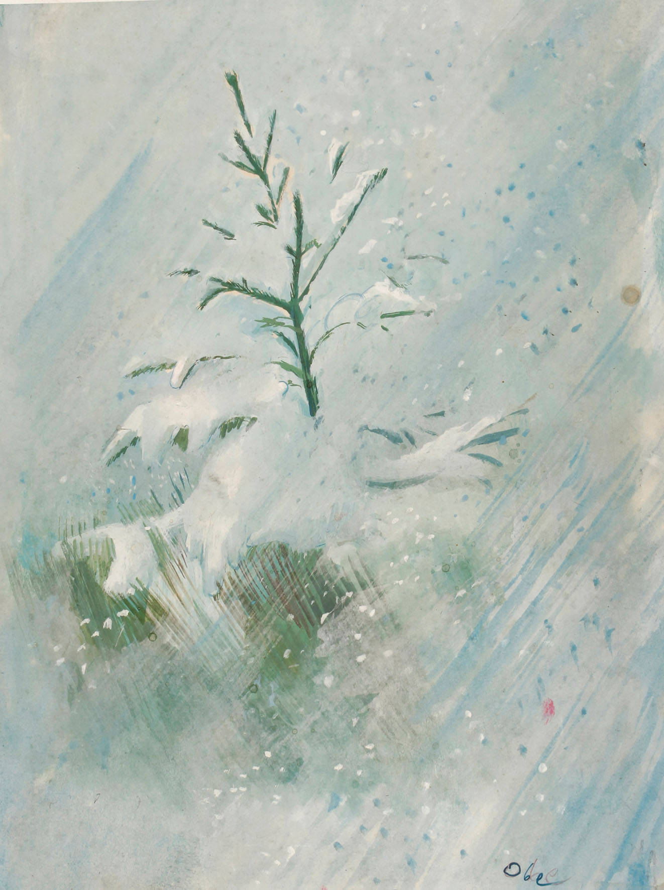 Prof. Josef Oberberger, Fichte im Schnee