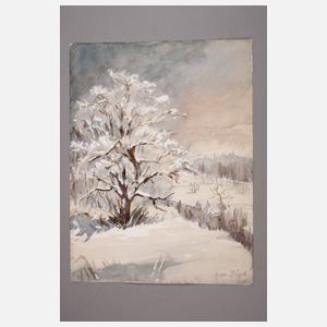 Prof. Hugo Bäppler, Winterlandschaft