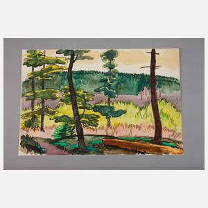 Mateo Cristiani, ”Besonntes Waldtal”