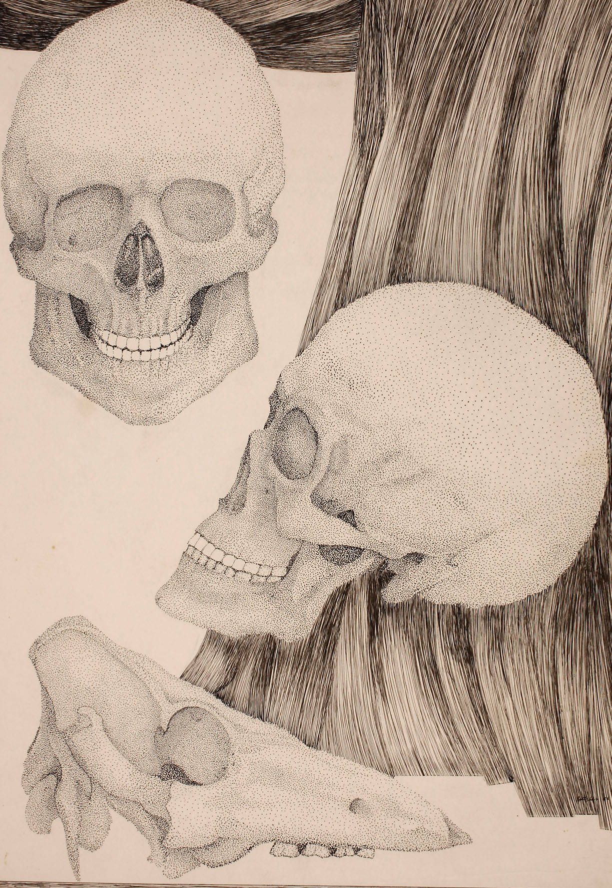 Hollstein, Drei Schädel