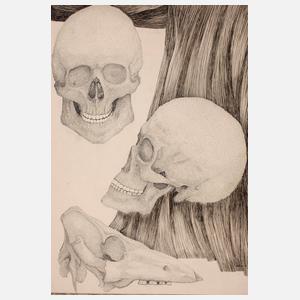 Hollstein, Drei Schädel