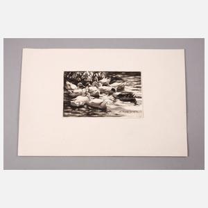 Alexander Koester, Am Ententeich