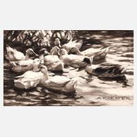 Alexander Koester, Am Ententeich111