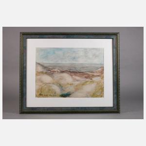 Traute Rose, Dünen auf Amrum