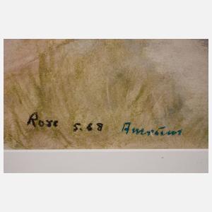 Traute Rose, Dünen auf Amrum