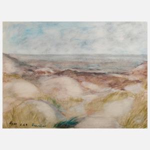 Traute Rose, Dünen auf Amrum