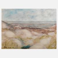 Traute Rose, Dünen auf Amrum111