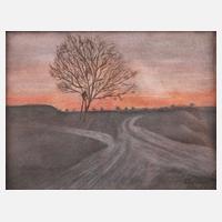 Landschaft in der Abenddämmerung111