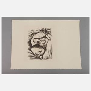 Prof. Richard Dreher, Sammlung Lithographien,