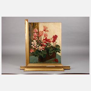 Curt Kähling, Alpenveilchen