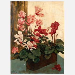 Curt Kähling, Alpenveilchen