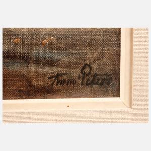 Anna Peters, Mondnacht am Bodensee