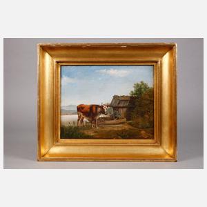 Stier mit Bauern am Tegernsee