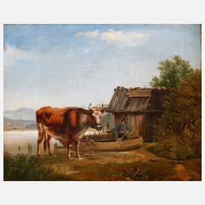 Stier mit Bauern am Tegernsee