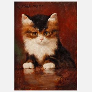 Emil Keck, Katzenportrait