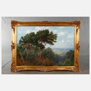 F. Arnold, Kiefern im Hochgebirge