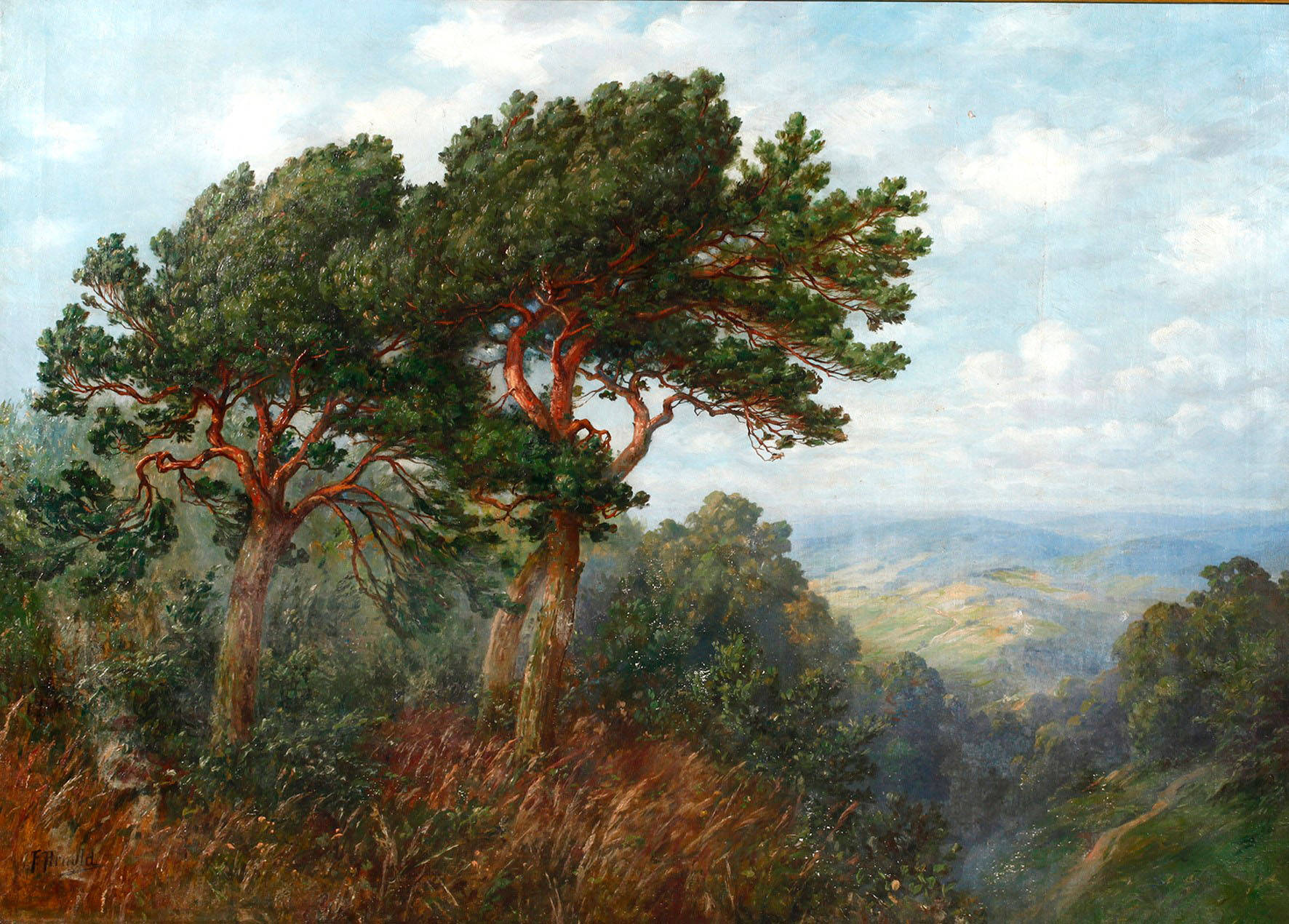 F. Arnold, Kiefern im Hochgebirge