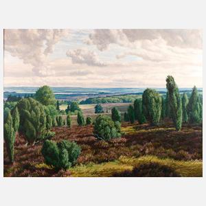 Bernhard de Bruycker, Heidelandschaft