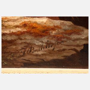 S. Buchhofer, Sturzbach im Gebirge