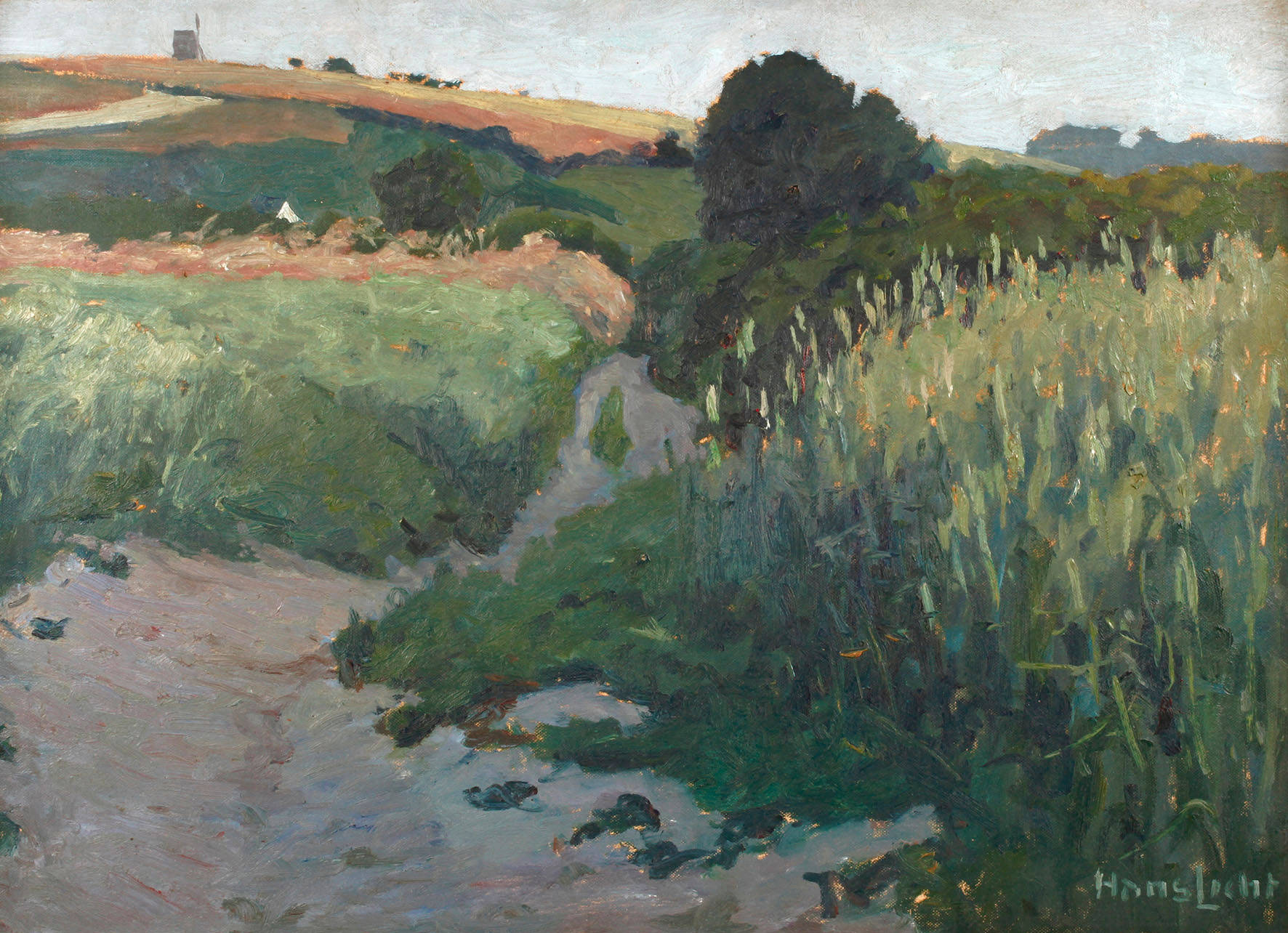 Prof. Hans Licht, Sommerlandschaft