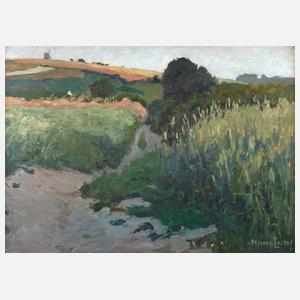 Prof. Hans Licht, Sommerlandschaft