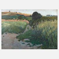 Prof. Hans Licht, Sommerlandschaft111