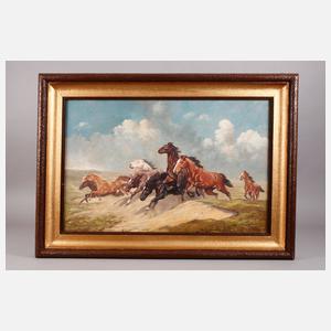 R. Matthes, galoppierende Pferde